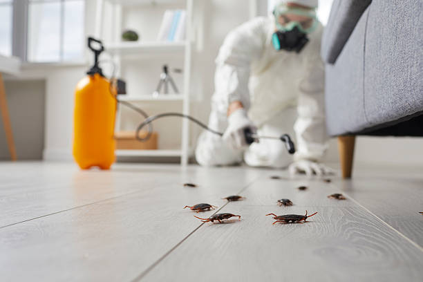 Post-Treatment Bed Bug Interceptor Monitoring in Ravenna
