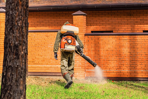 Bed Bug Clearance Verification and Documentation in Ravenna